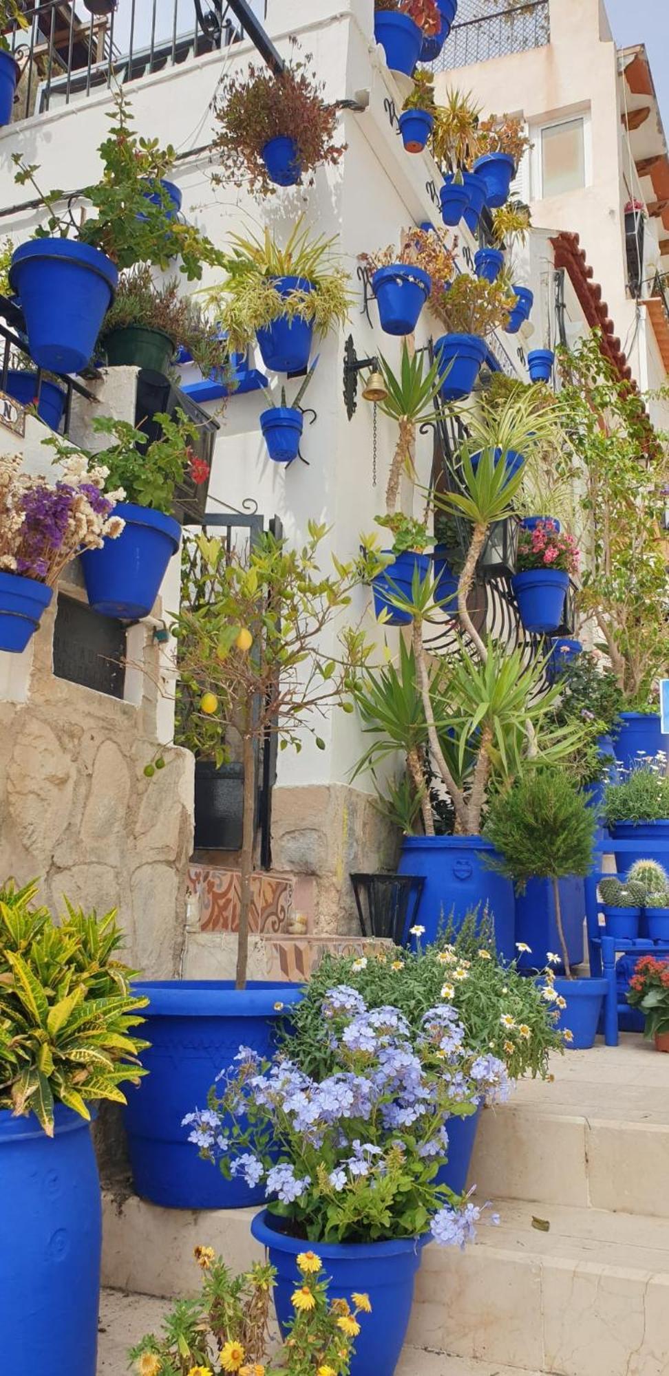 El Barrio Alicante , Playa Y Casco Antiguo Exterior foto